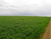 Coastal Plots of Land in Softades-Larnaca
