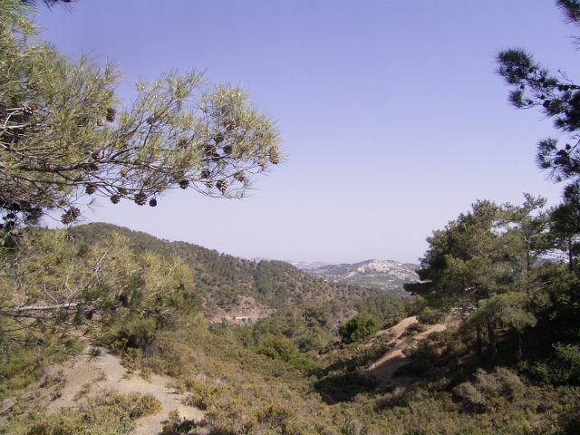 Land in Pano Platres-Limassol