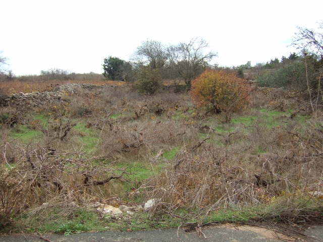 Land for sale in Ineia-Paphos District