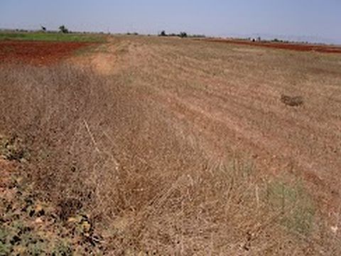 Land for sale just outside Avgorou-Famagusta