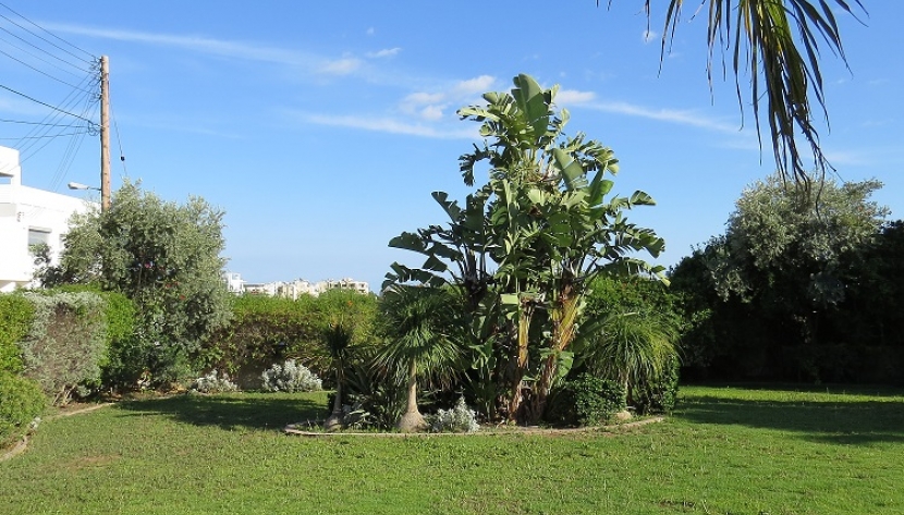 RESIDENTIAL PLOT IN YERMASOYIA TOURIST AREA NEAR DASOUDI, LIMASSOL