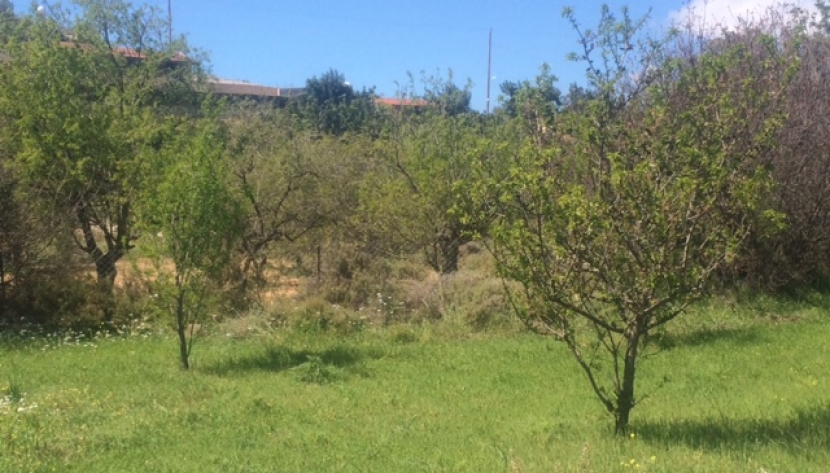 RESIDENTIAL PLOT FOR SALE IN KORFI, LIMASSOL