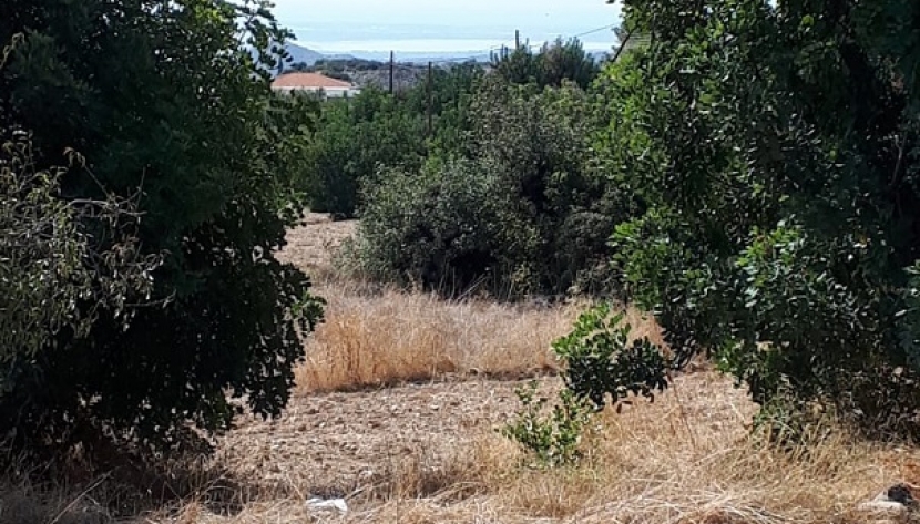 PLOT OF LAND IN APESIA VILLAGE, LIMASSOL