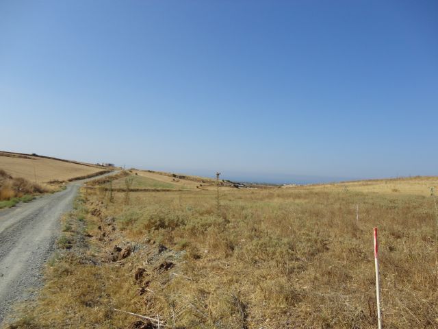 Agricultural Land for sale in Anarita-Paphos