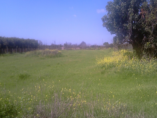 Land for sale in Ypsonas-Limassol