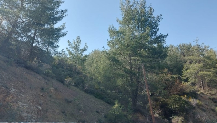 LPLATR-LAKIS-6531 RESIDENTIAL PLOT IN KATO PLATRES 