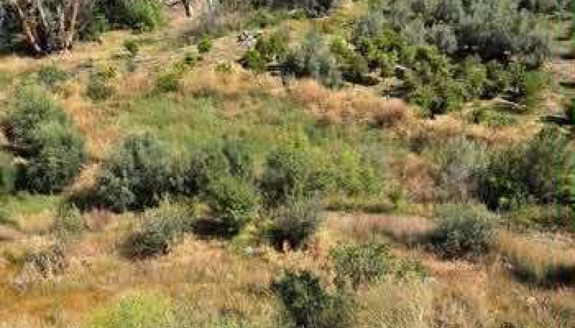 LARA-PRESQ-7845 RESIDENTIAL LAND IN ARAKAPAS